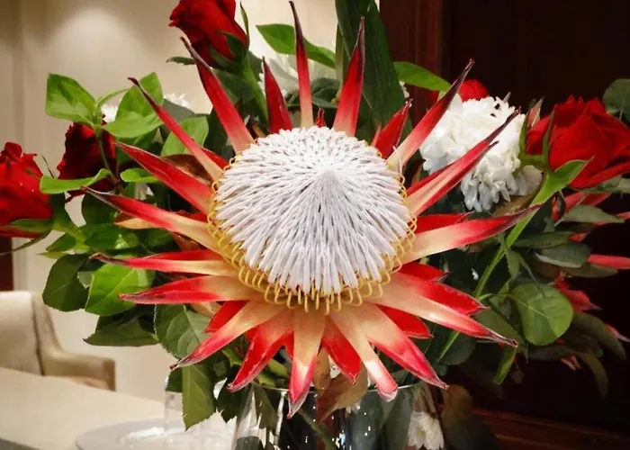 Island Hotel Durban